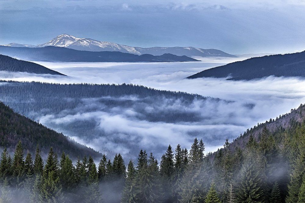 Morning in the Carpathians