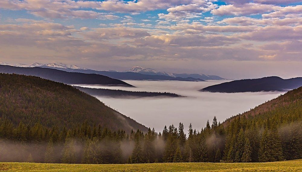 Foggy lake among the mountains in the Carpathians