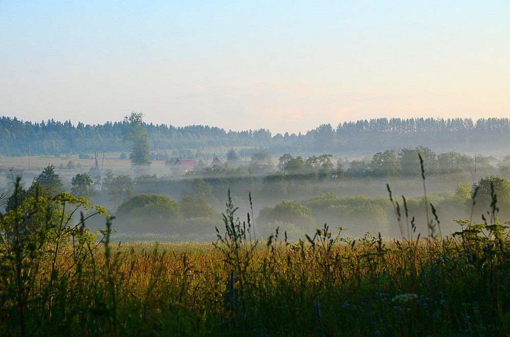 деревенский туман