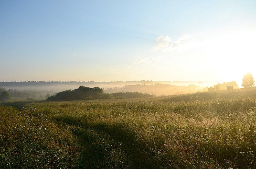 туман в поле