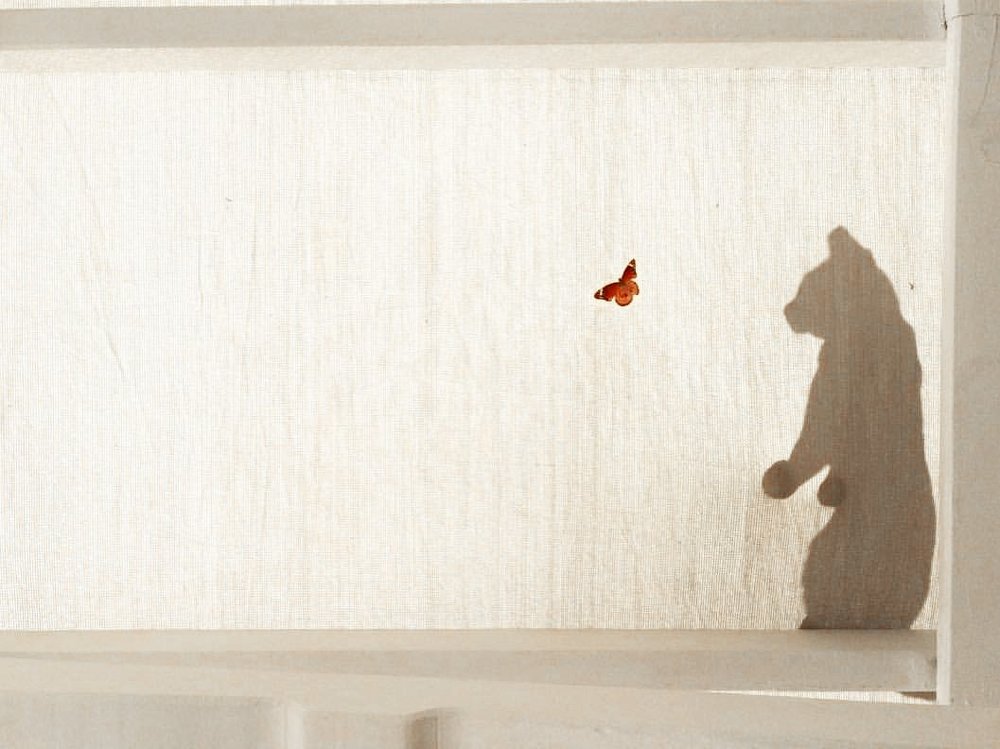 А счастье было так близко...