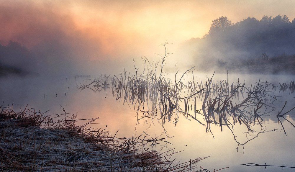 Утро на пруду