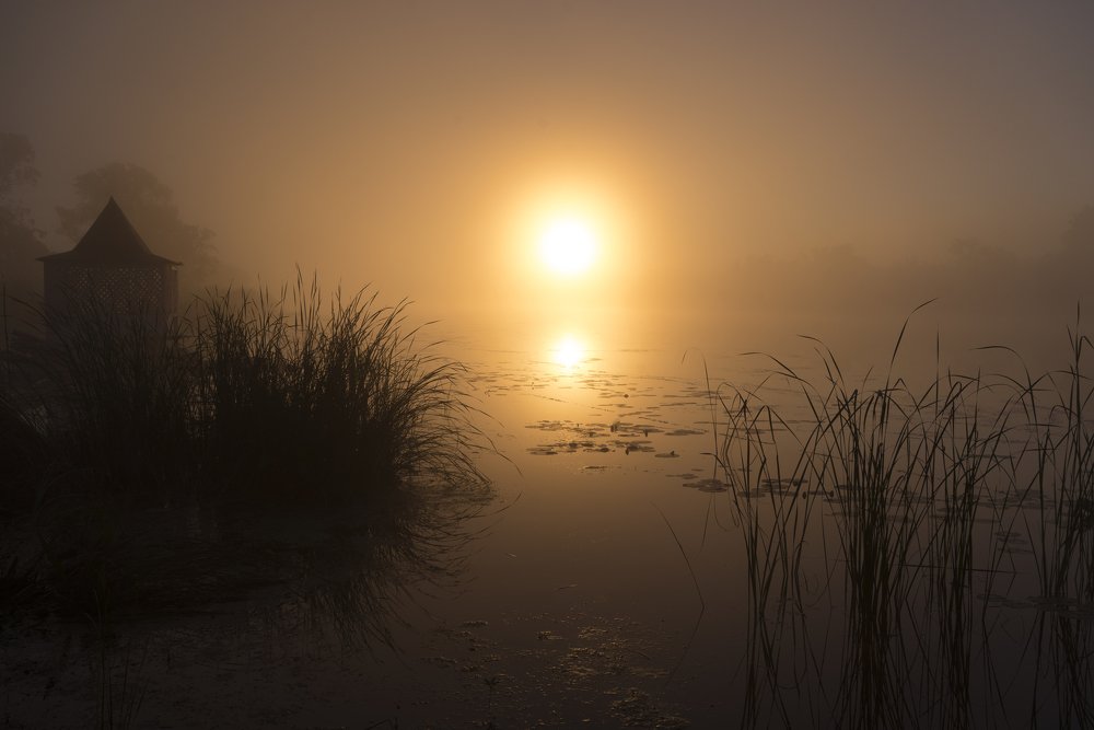Рассвет в тумане