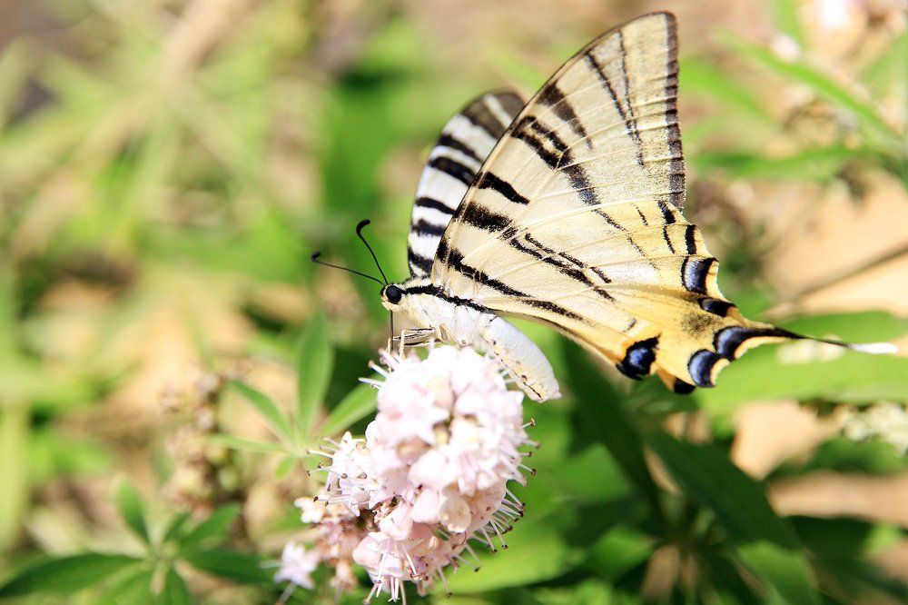 Photograph by Ольга Эркызан