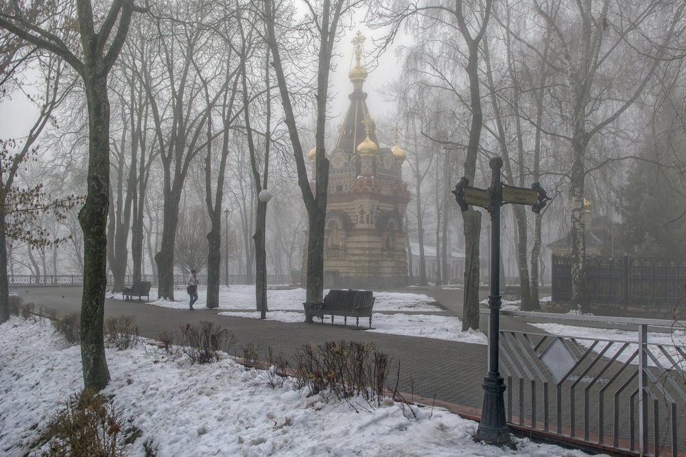 Утро в парке