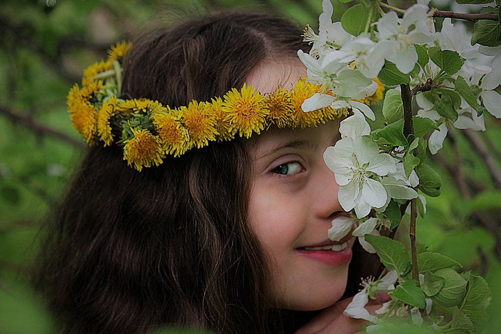 Яблоневый цвет.