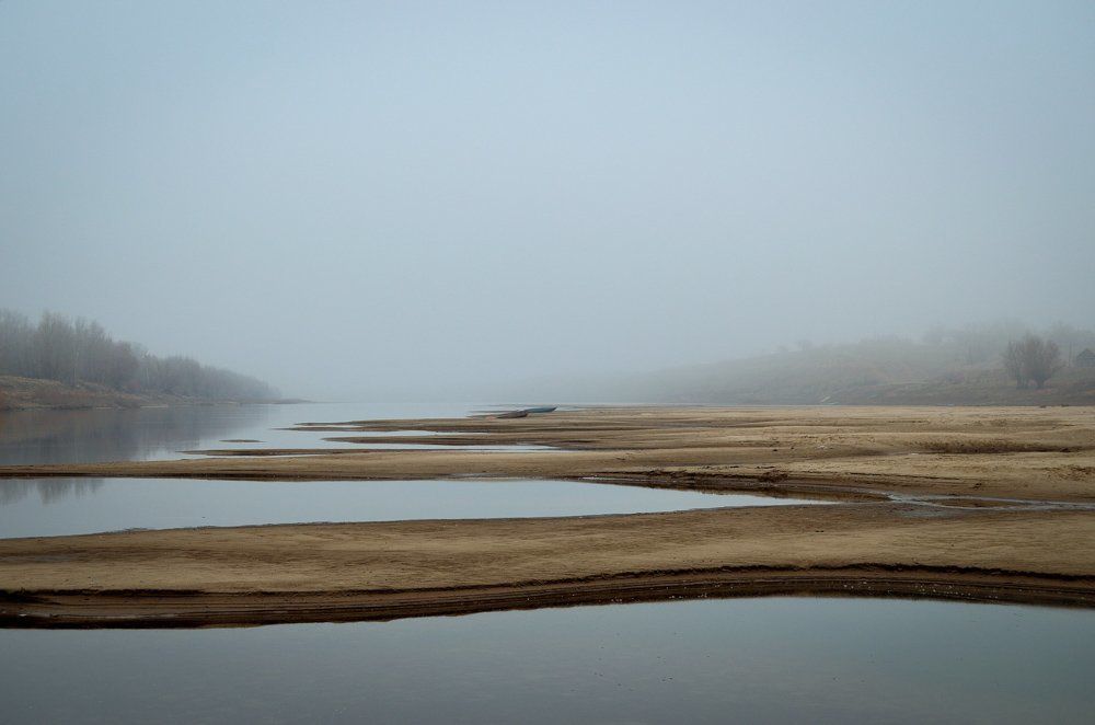 Photograph by Елена Васильева