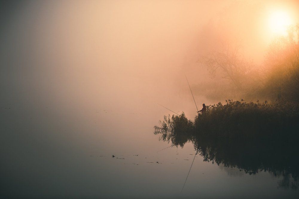 Молочный рассвет