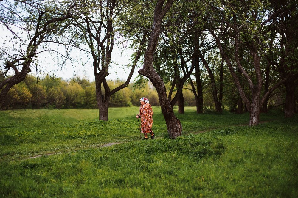 Ведунья лесная