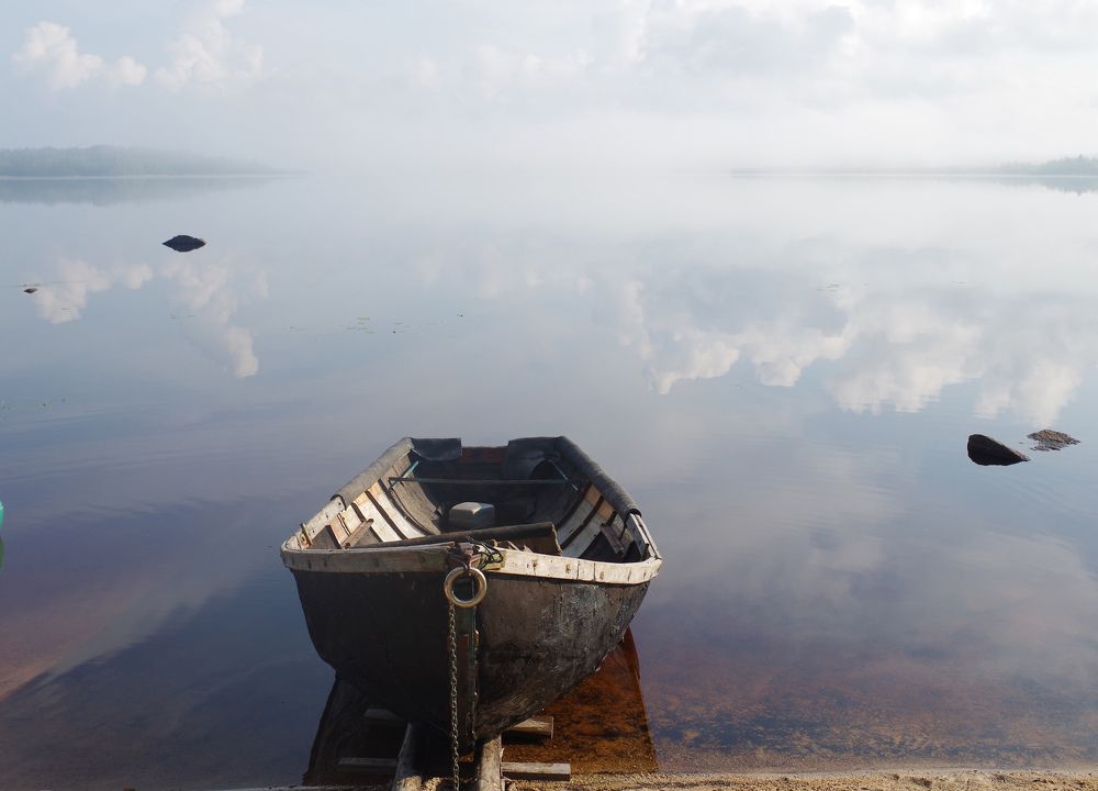 Туманное утро