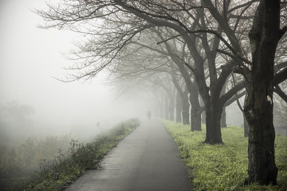 A fog in the morning