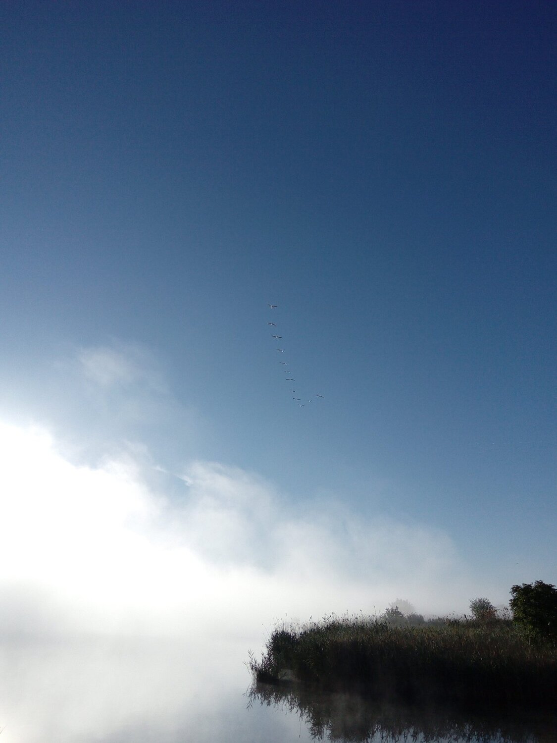 Photo #2466542