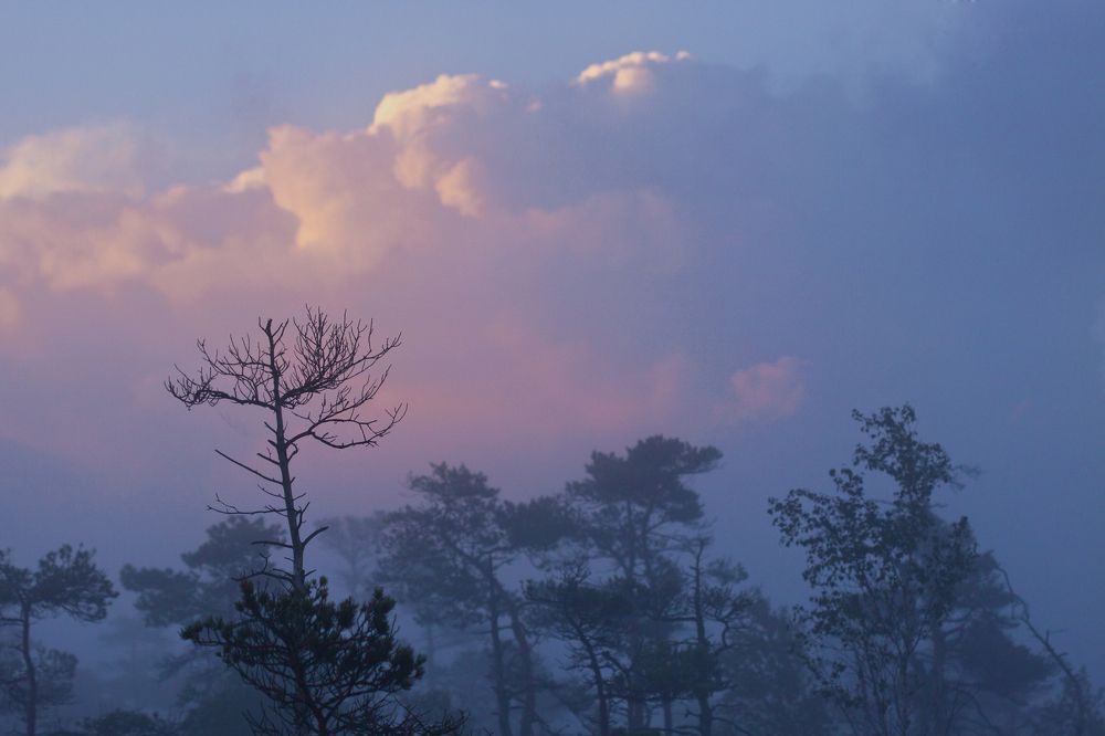 Before the sun weave