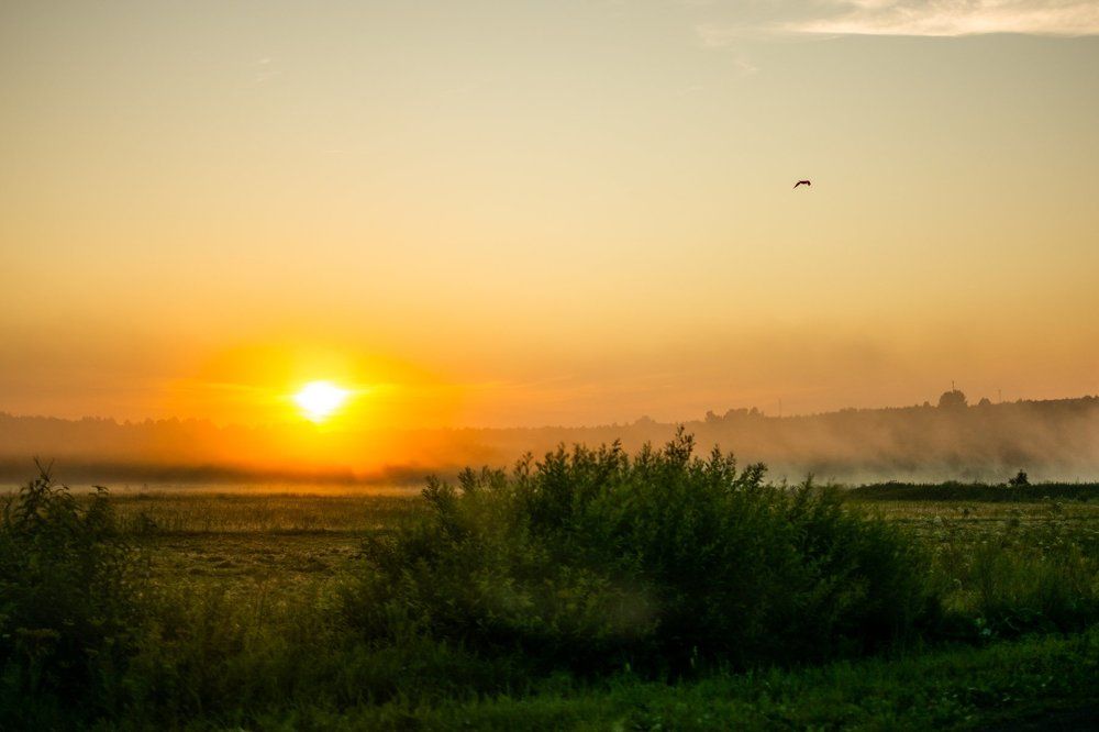 Photograph by Никита