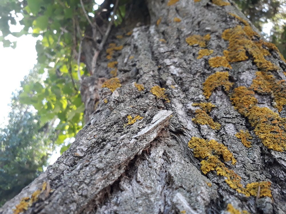 Через время