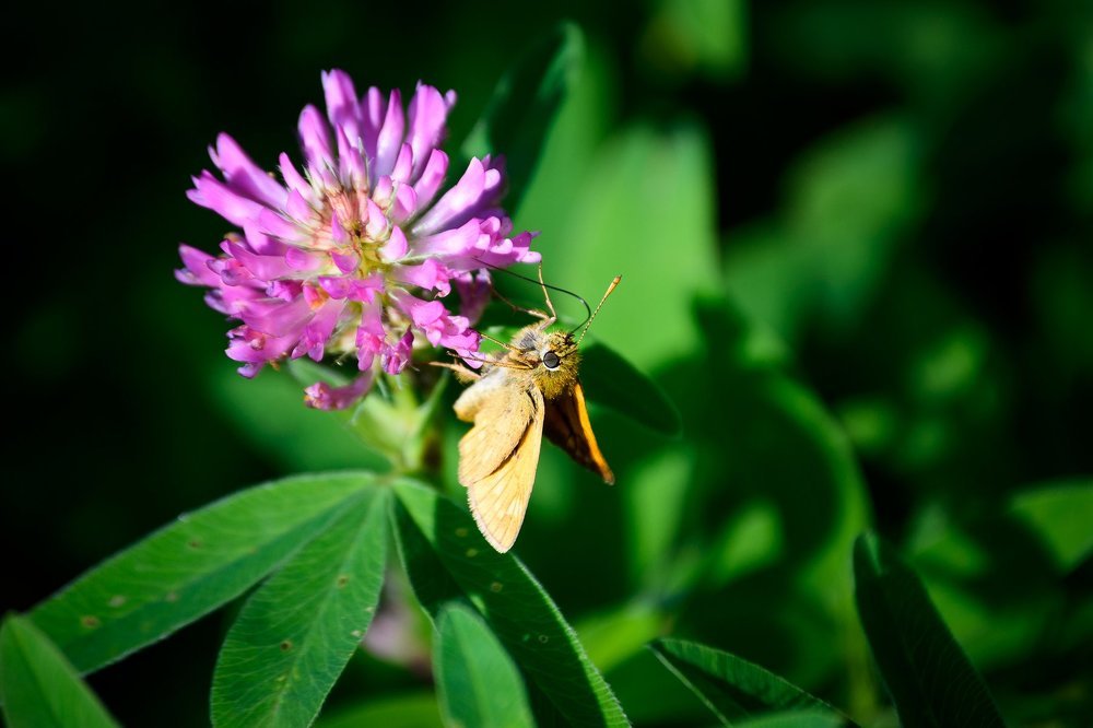 Трудовые будни
