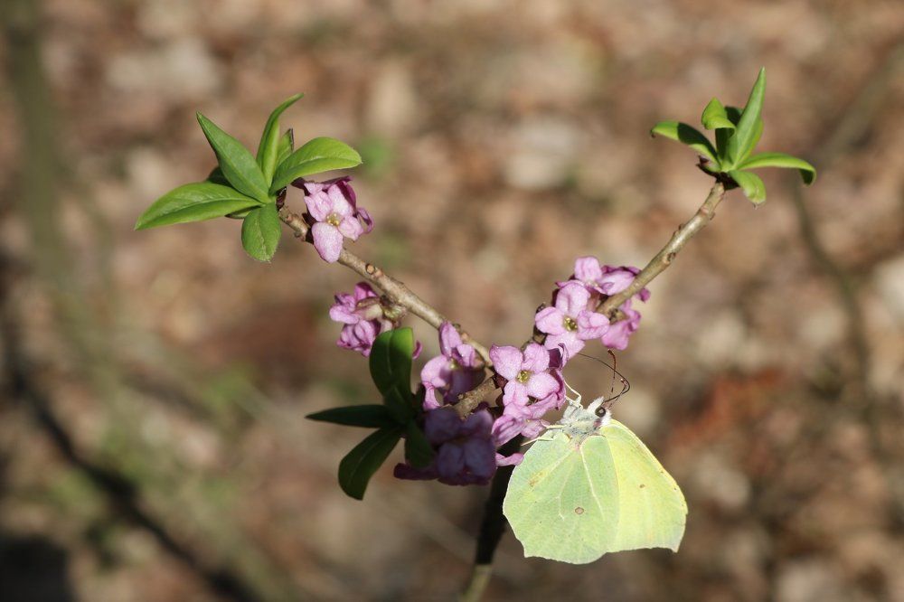 Photograph by Гарах Татьяна