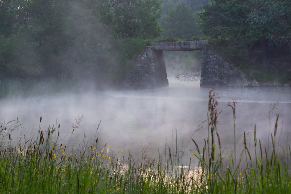 Photograph by PETRU DALEA