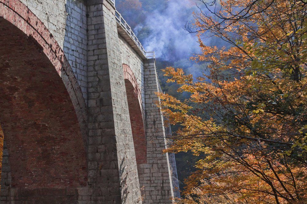 Photograph by PETRU DALEA