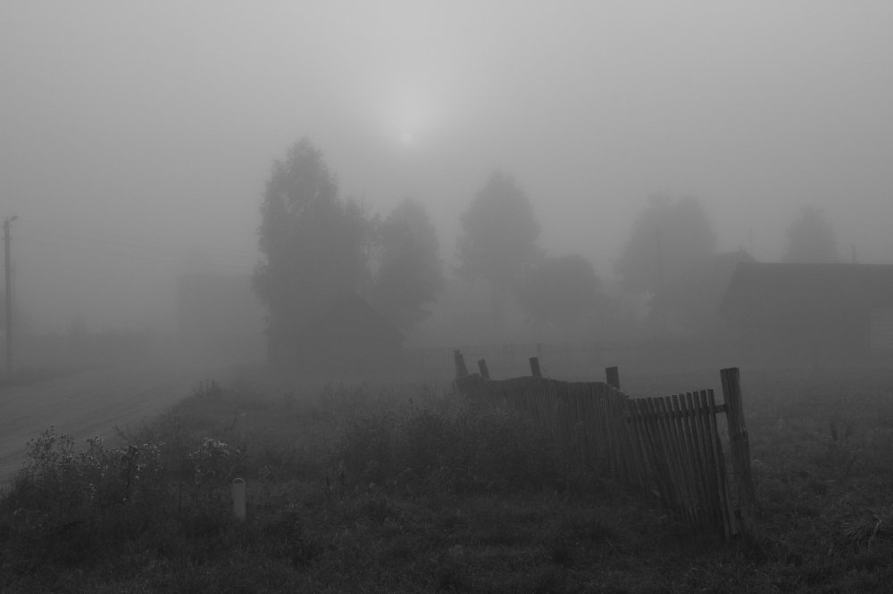 Photograph by Наталья Путято