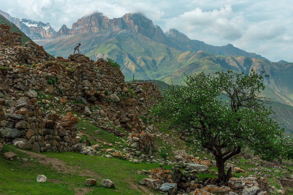 Фотография автора Руслан Комаров