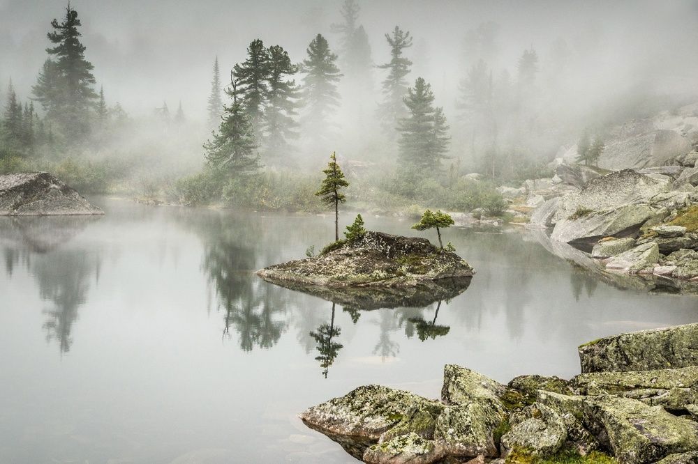 туманным утром