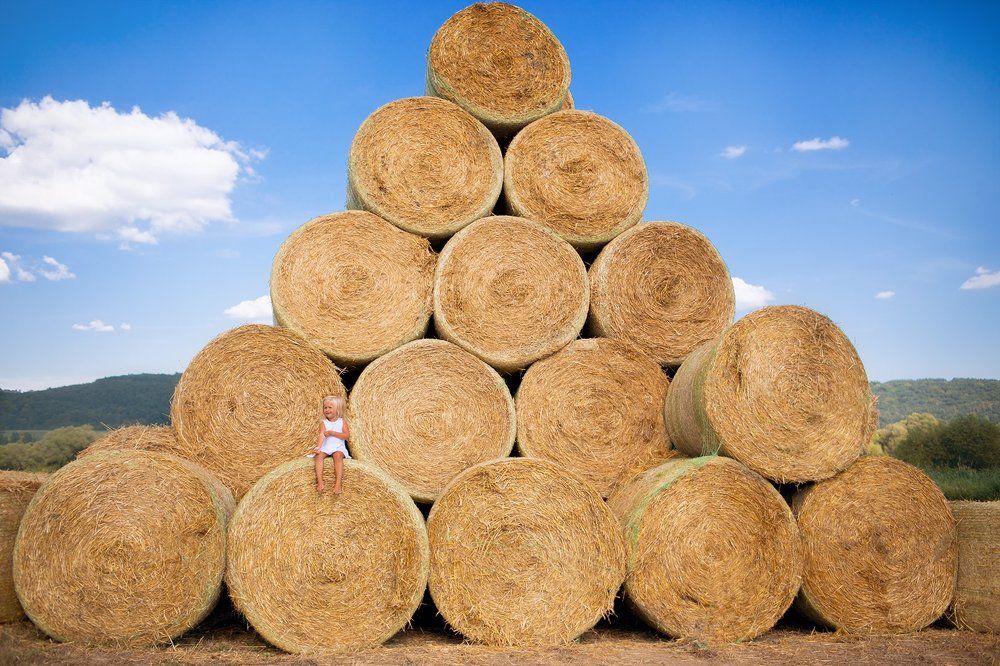 Photograph by Наталья Попова