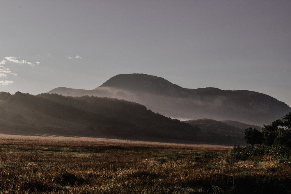 Туманное утро