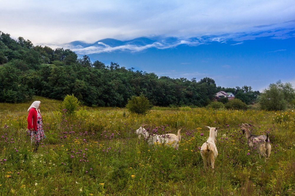 An evening walk