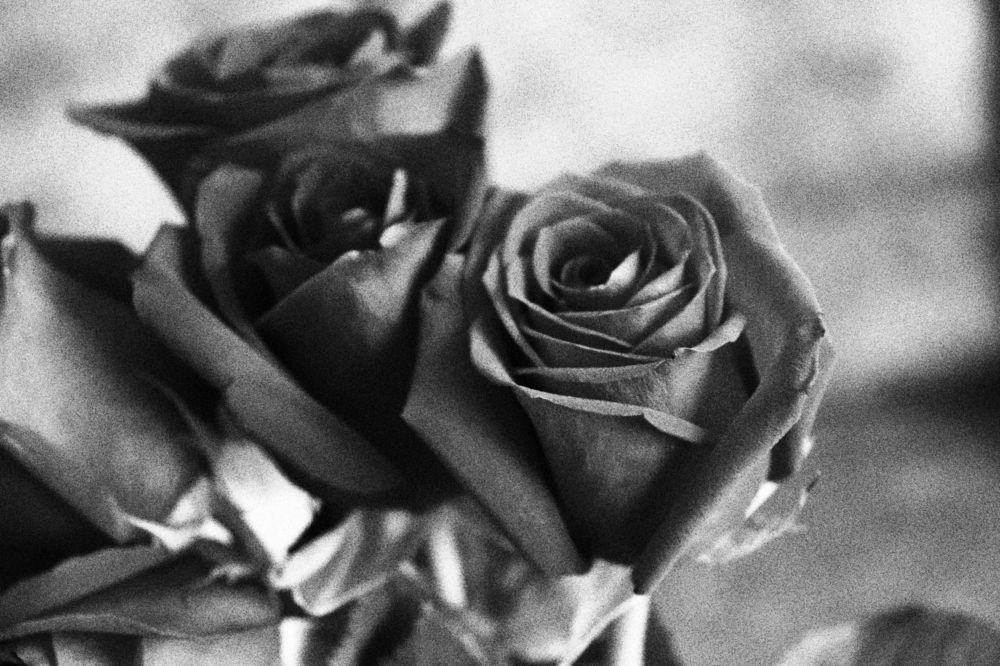 Photograph by Виктор