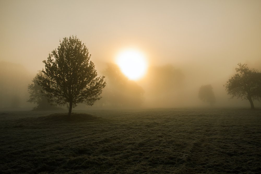 Пробуждение...