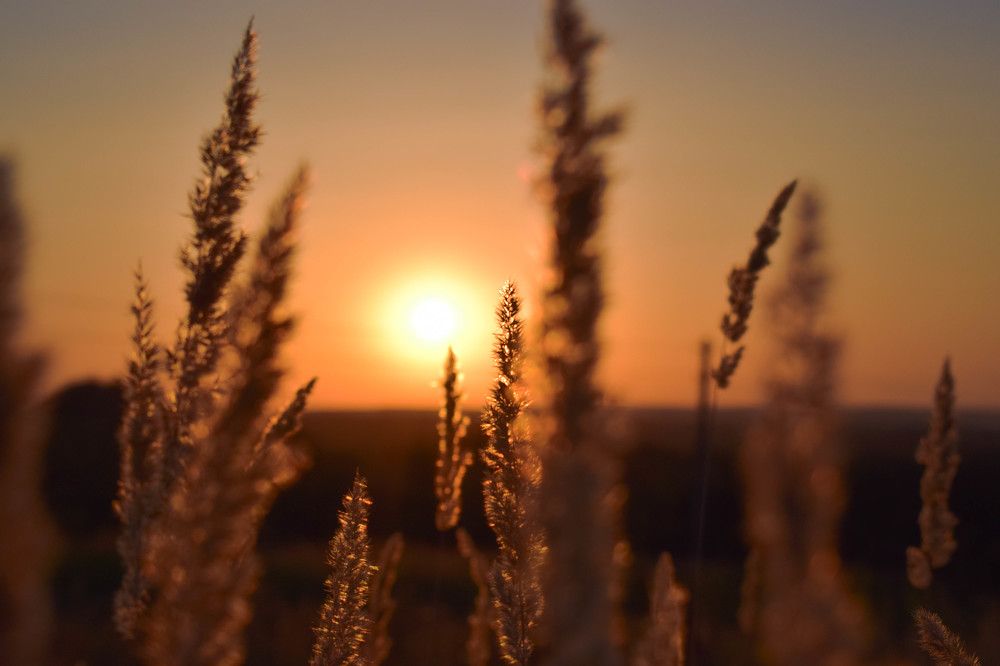 Photograph by Карина Чечель