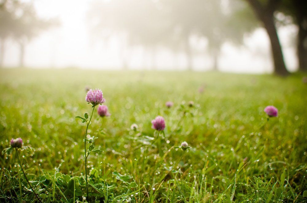 В ожидании осени