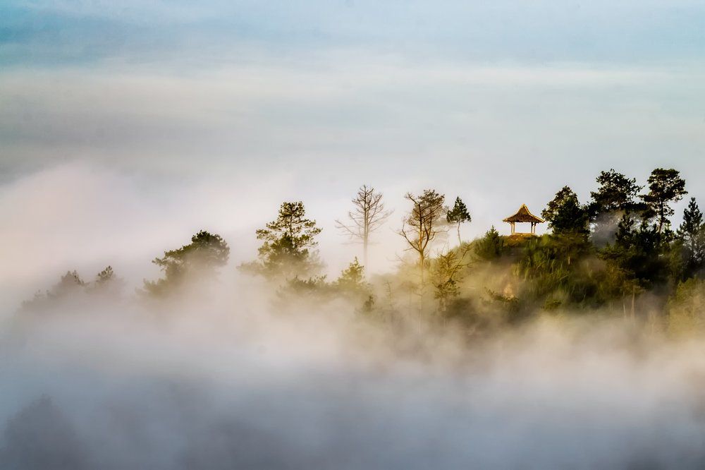 Fog
