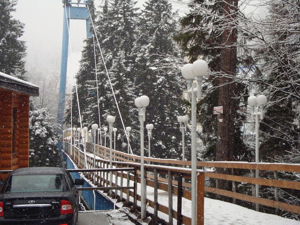 Photo #2467540