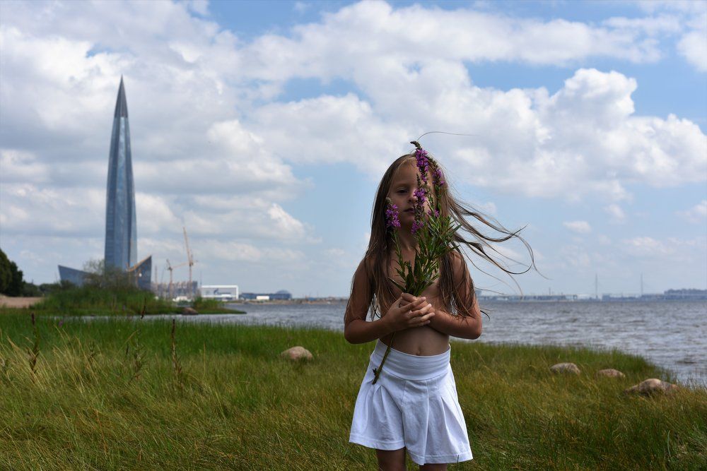 Полевые цветы.