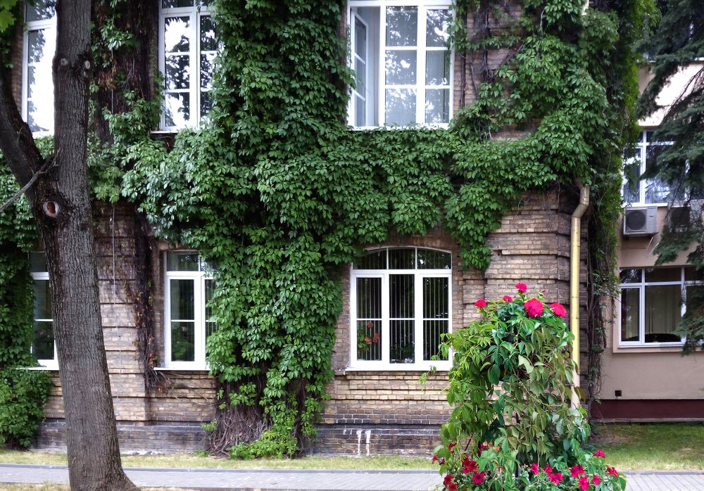 уголок города