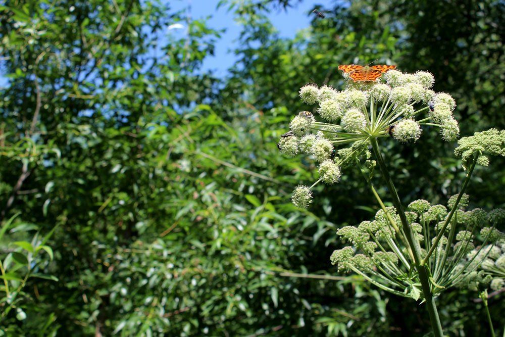 Photograph by Полина Кузнецова