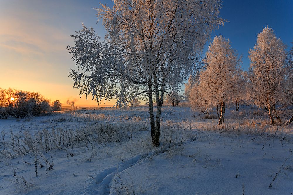 Photograph by Илья Лисаускас