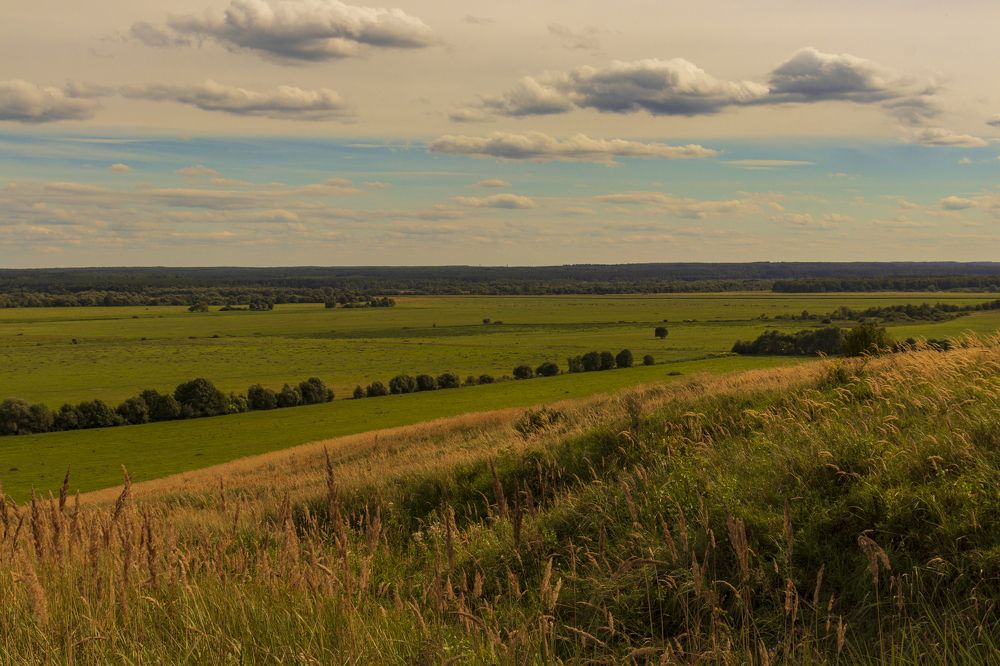 Долина реки Жиздра, Калужская область