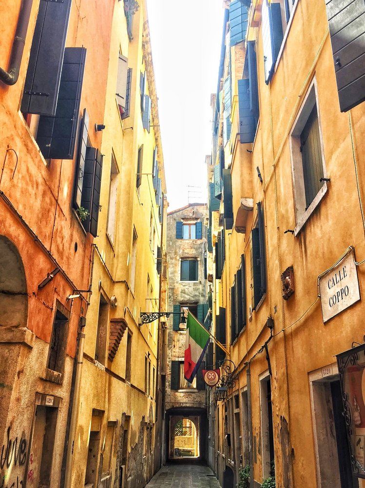 Венецианский двор