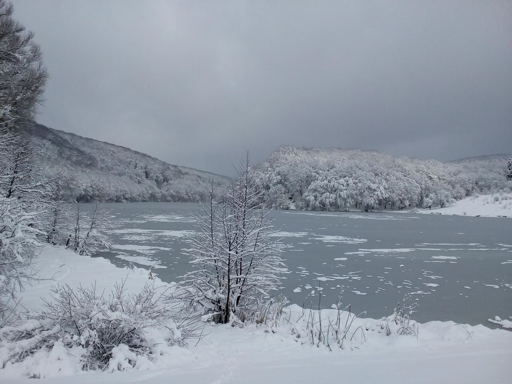 Photo #2468223