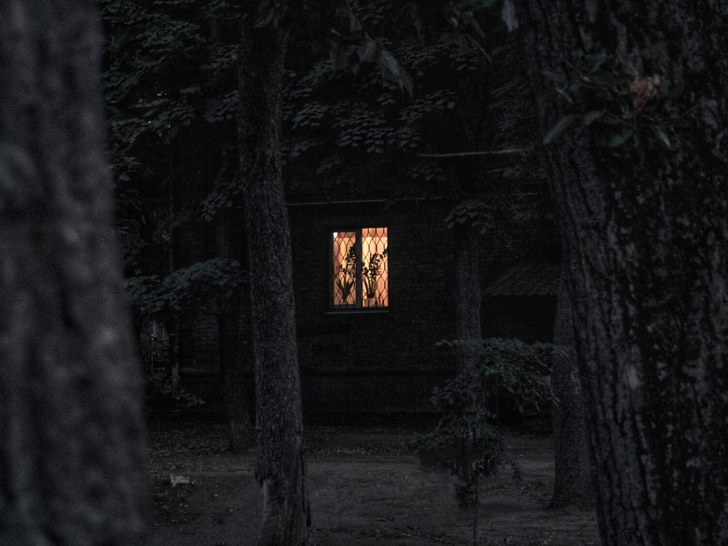Come to my window.