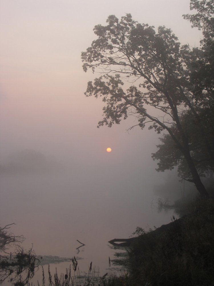 Вкус капли солнца на губах...