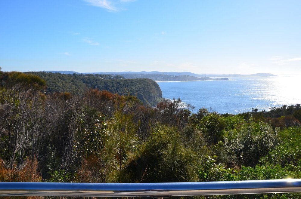 Photograph by Alfred Arnold