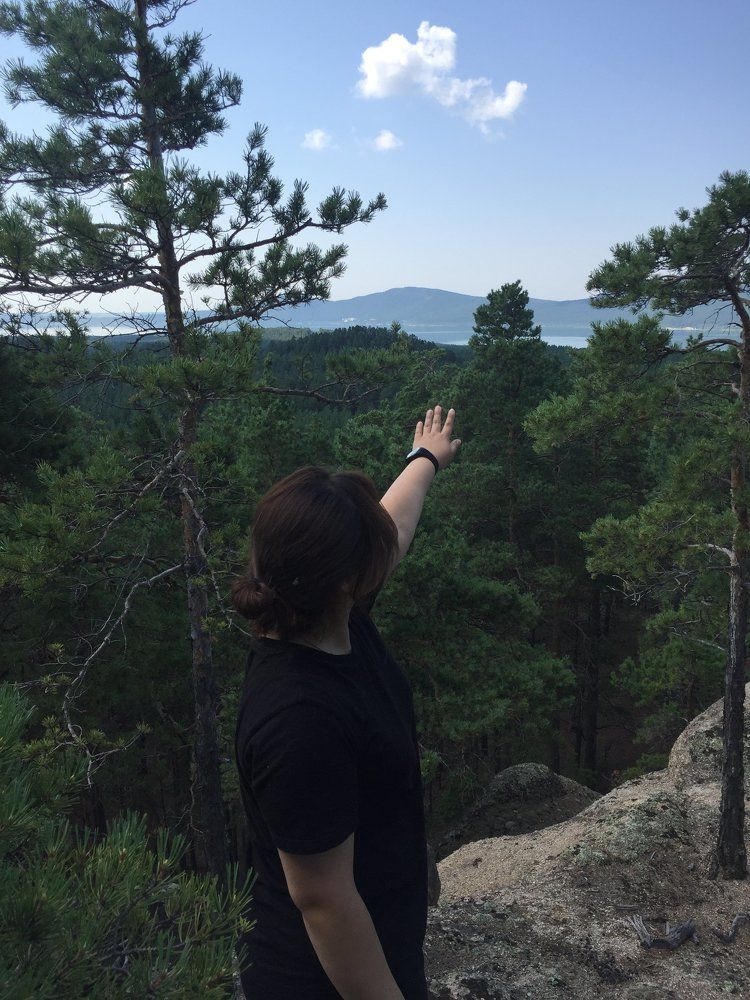 День в лесу