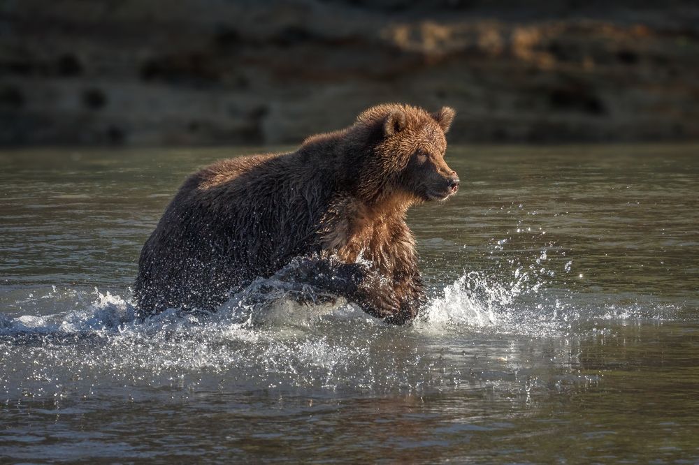 На рыбалке.