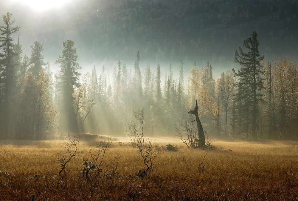 Рассвет на верховом болоте