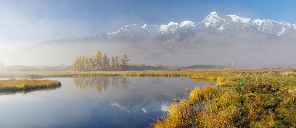 Куркурек над туманом