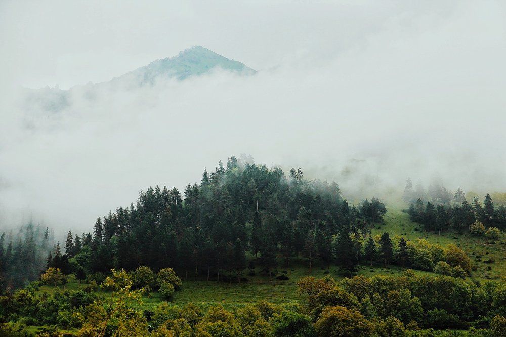 Утро в пешей прогулке